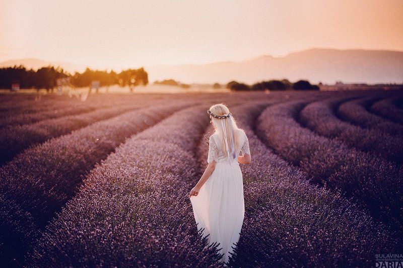 лаванда, лавандовыеполя, франция, прованс Валентина фото превью