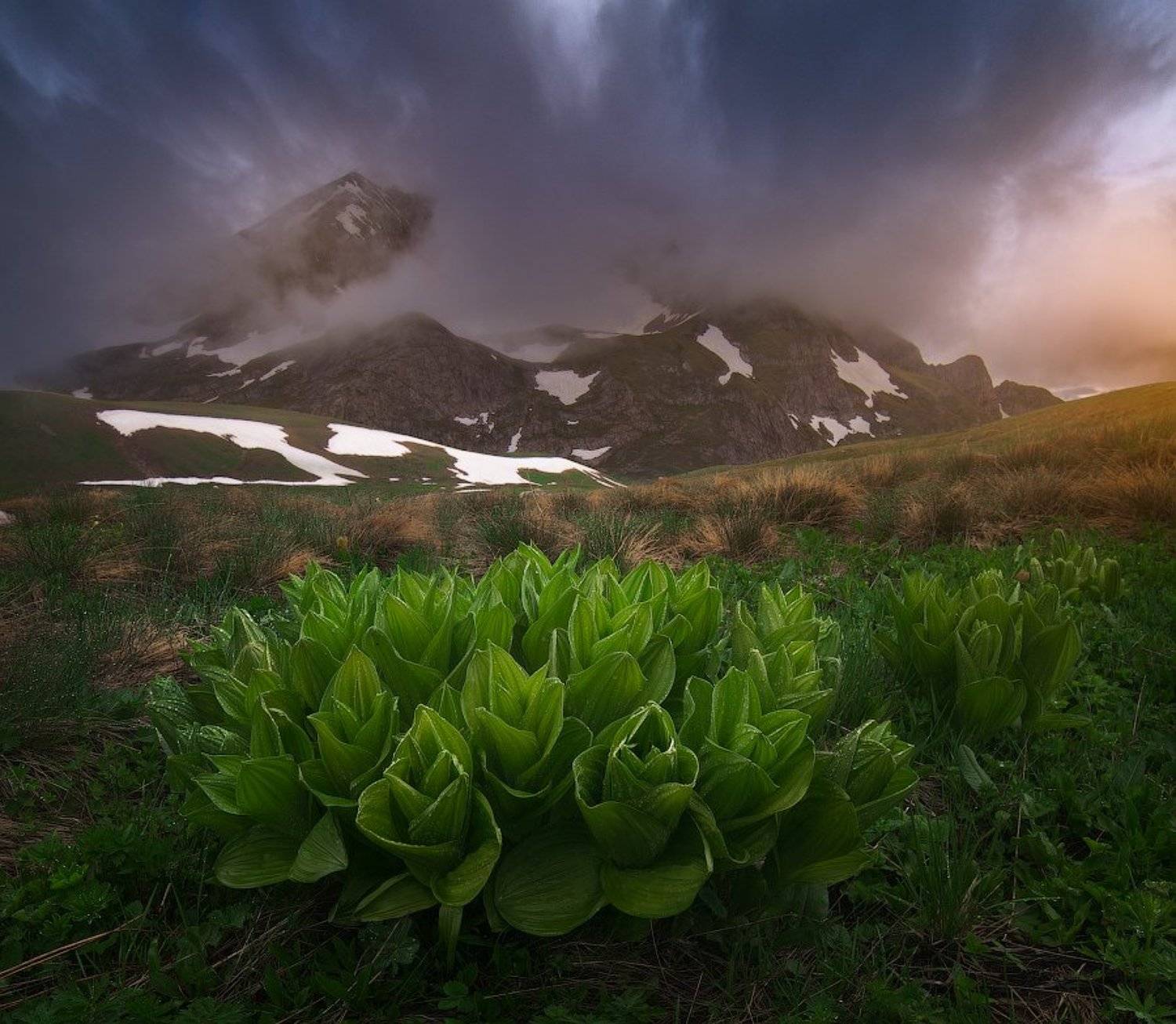 , Павел Небо