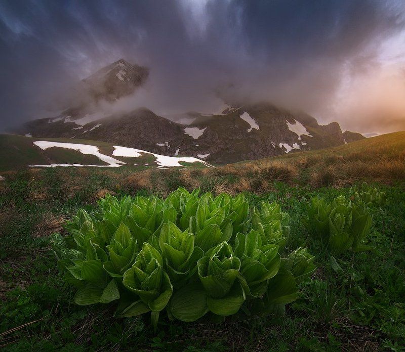 Оштен фото превью