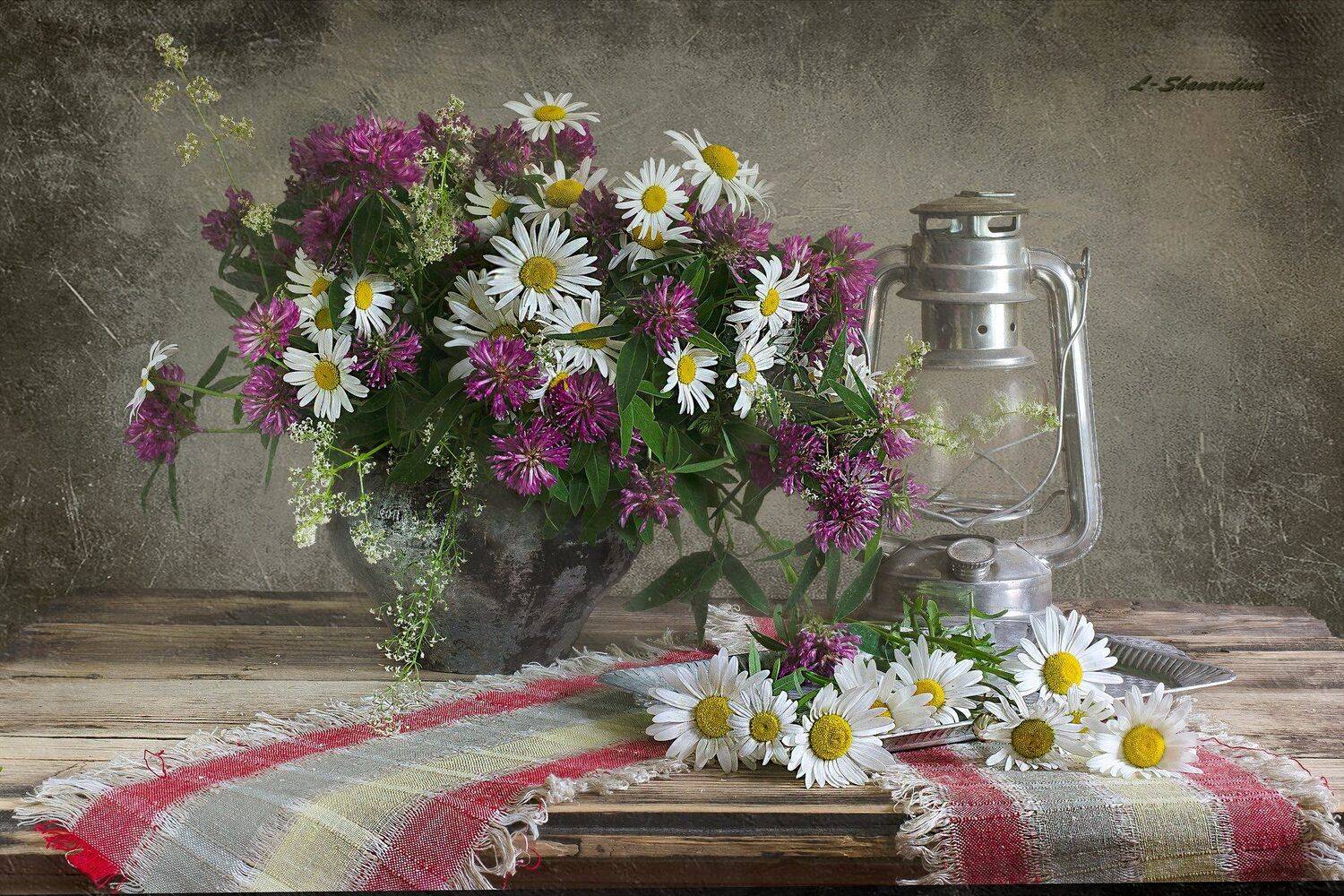 , Елизавета Шавардина