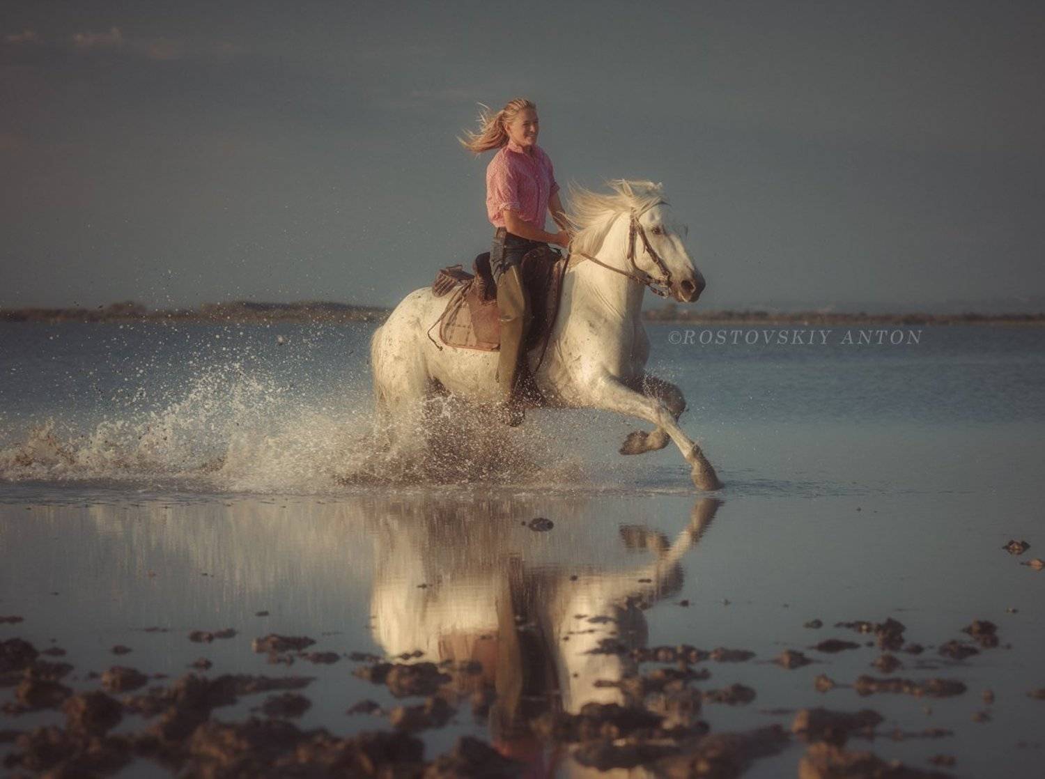 Camargue, Камарг, Фототур, Антон Ростовский