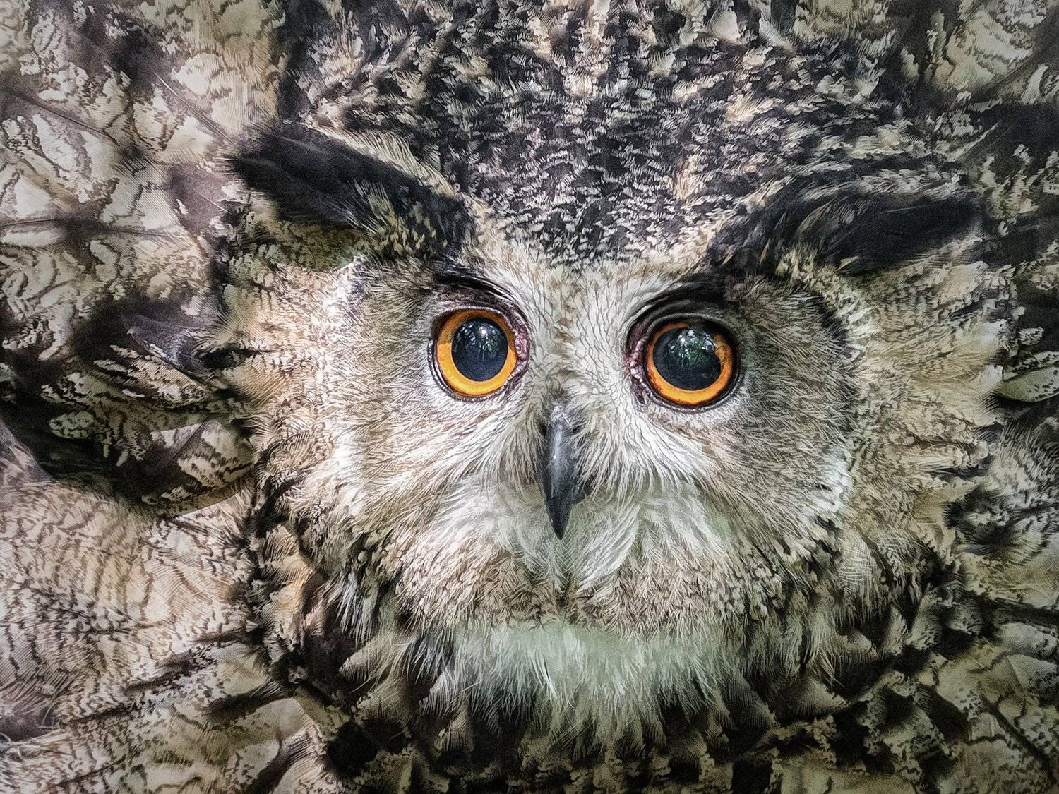 , Андрей Поляков