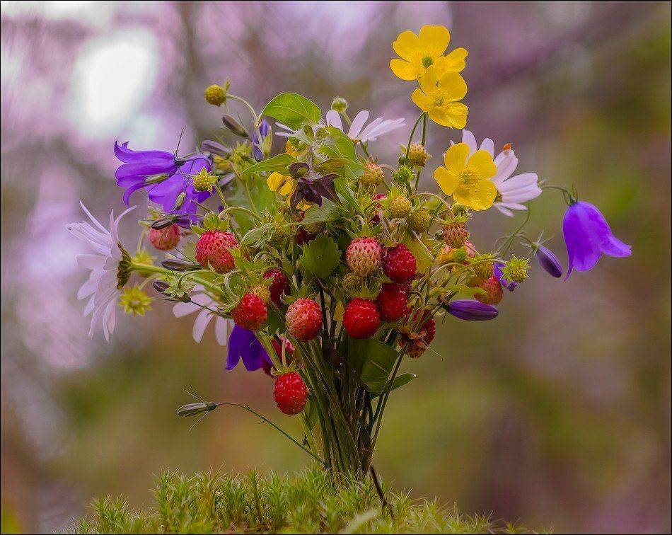 , Бурлов Андрей