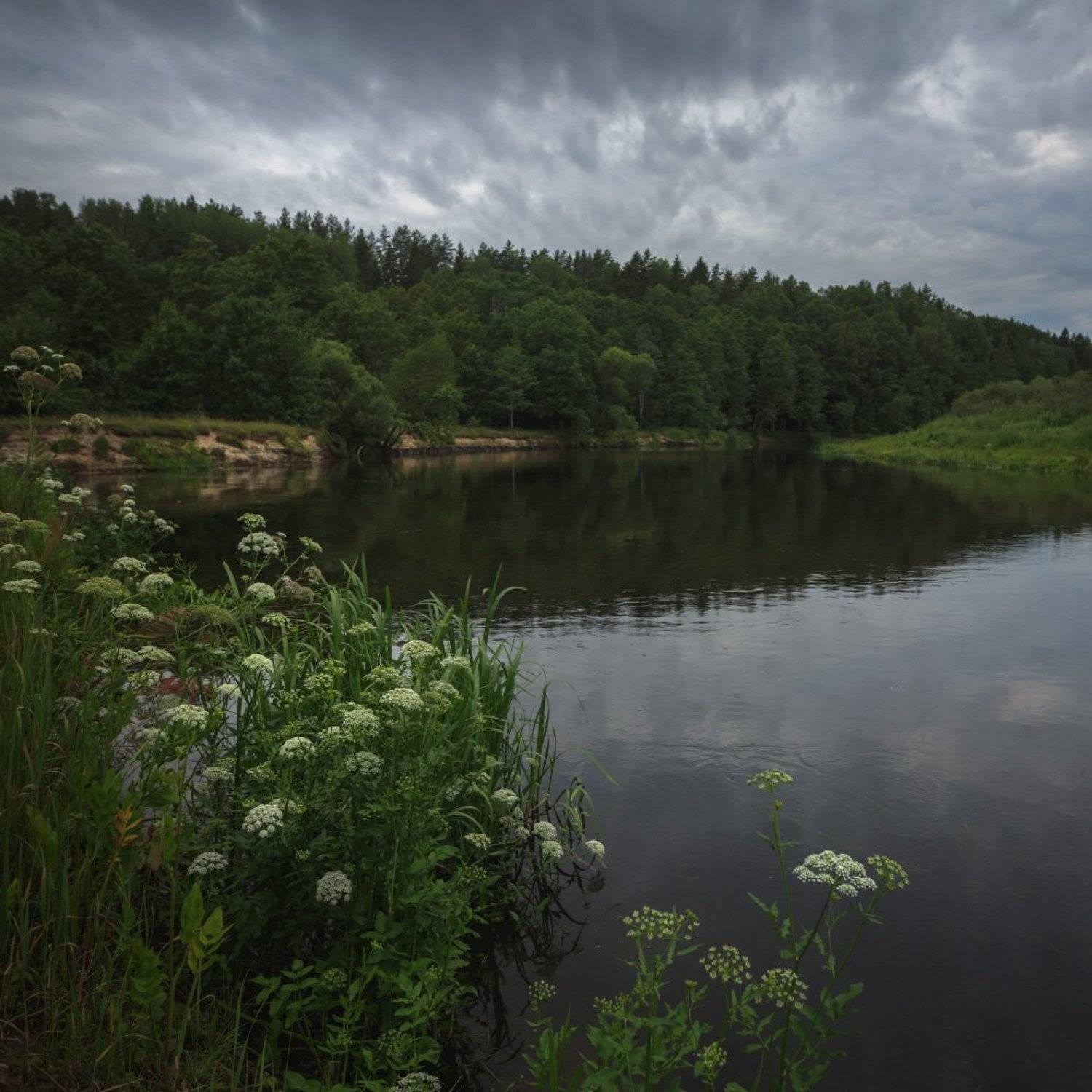 , Михаил Кушнер