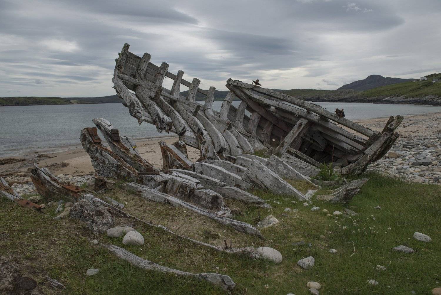 шотландия, Ирина