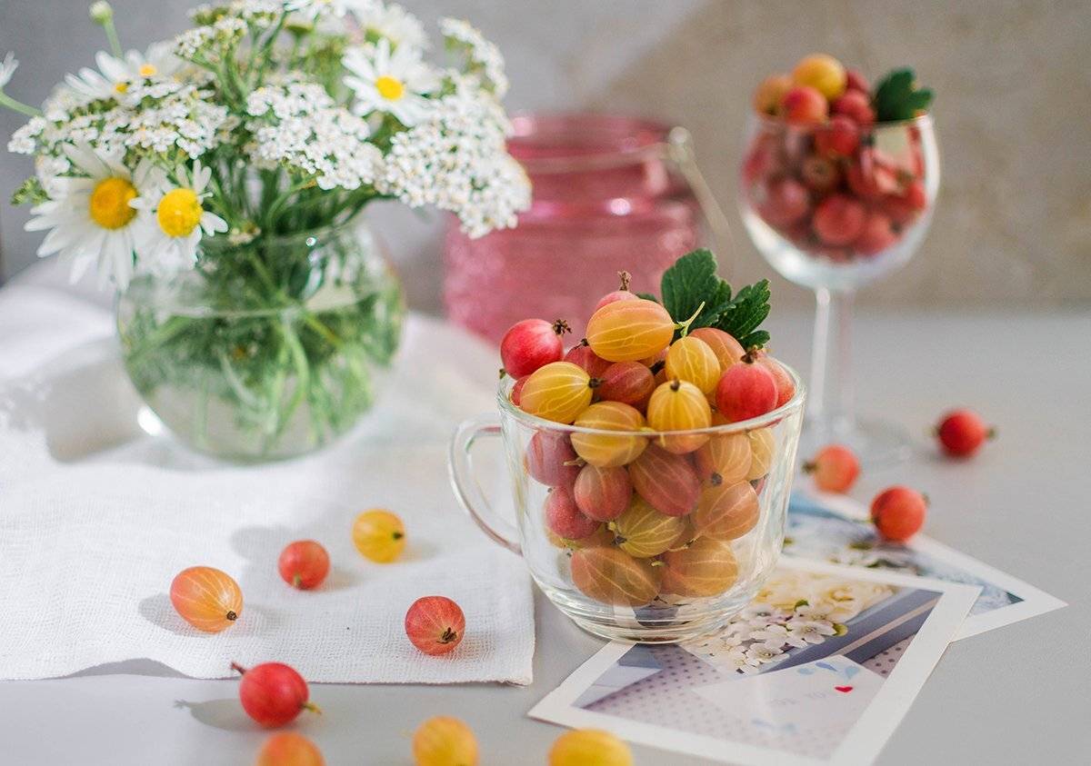 , Чернякова Анна