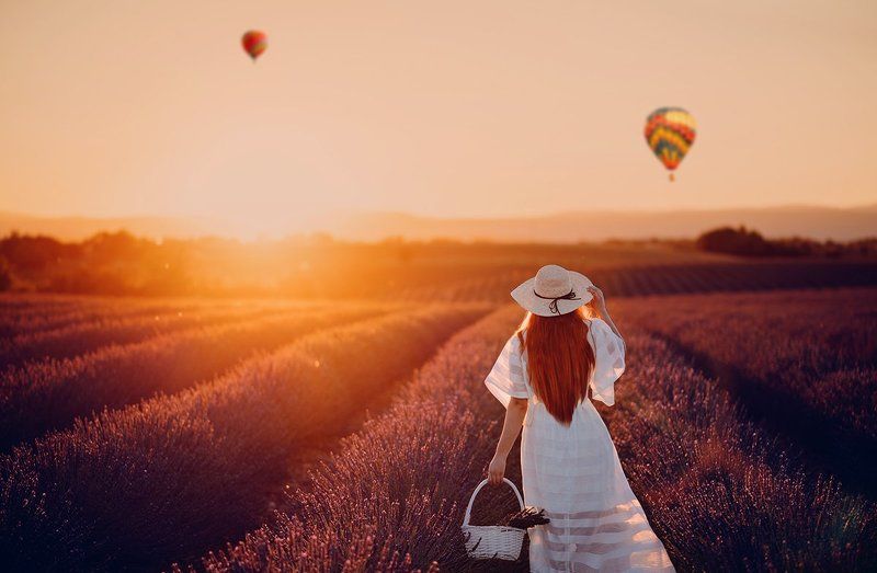 лаванда, лавандовыеполя, франция, прованс Дарья фото превью