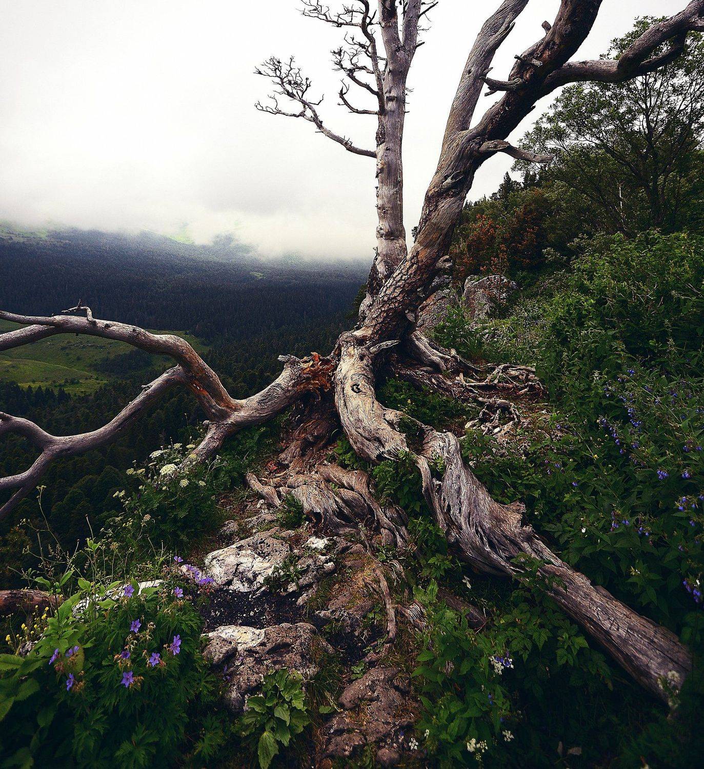 , Сергей Кобылько