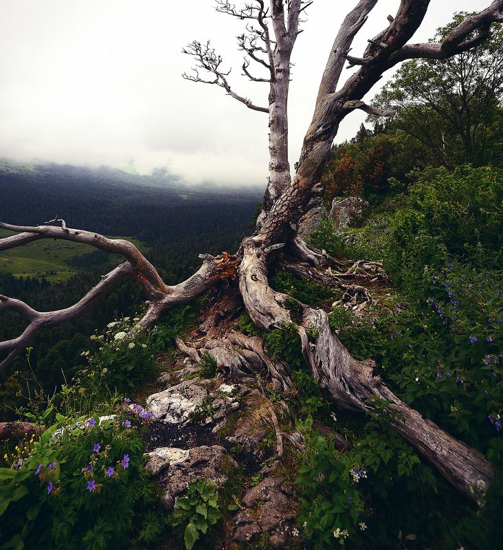 На краю фото превью