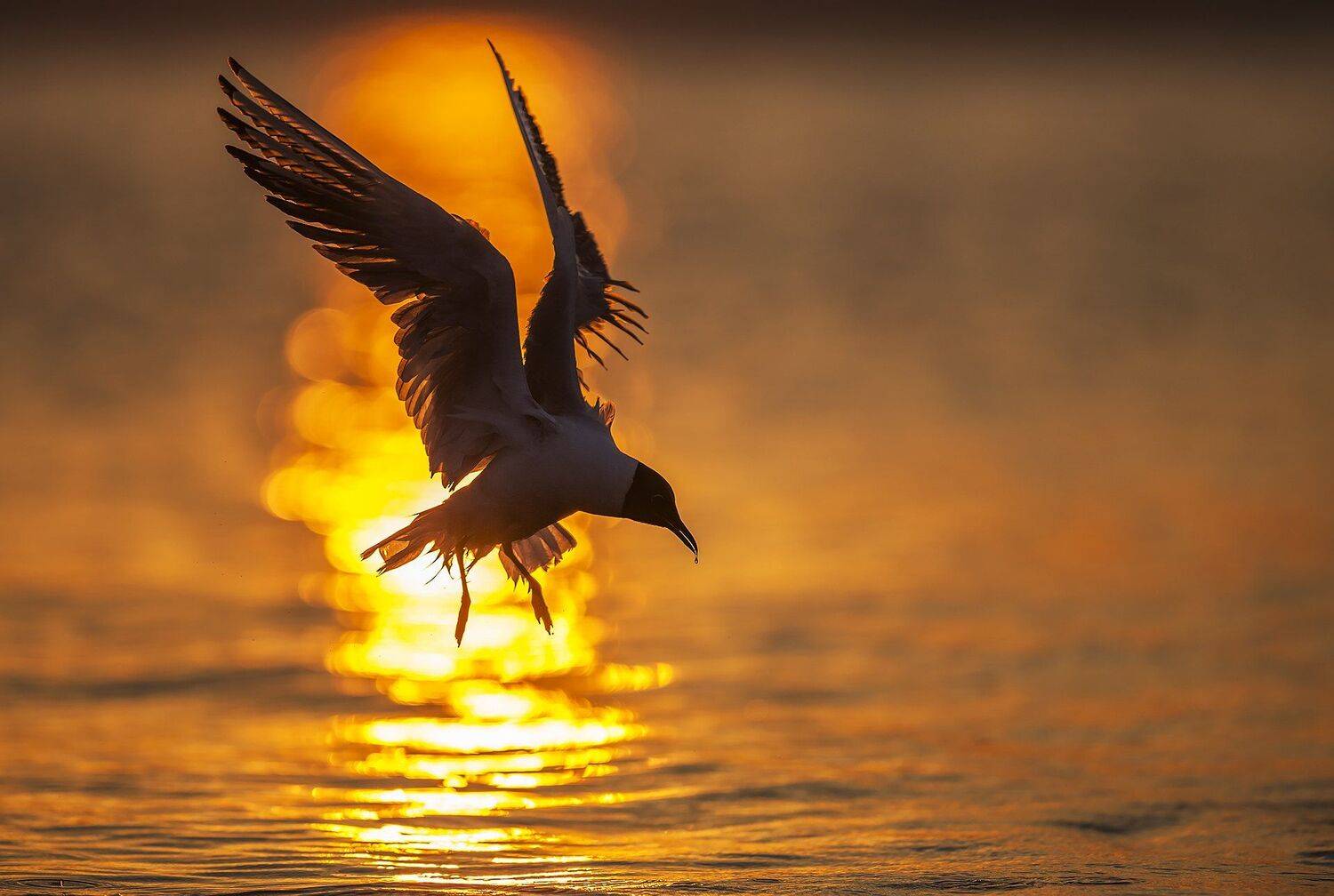 , Михаил Калинин