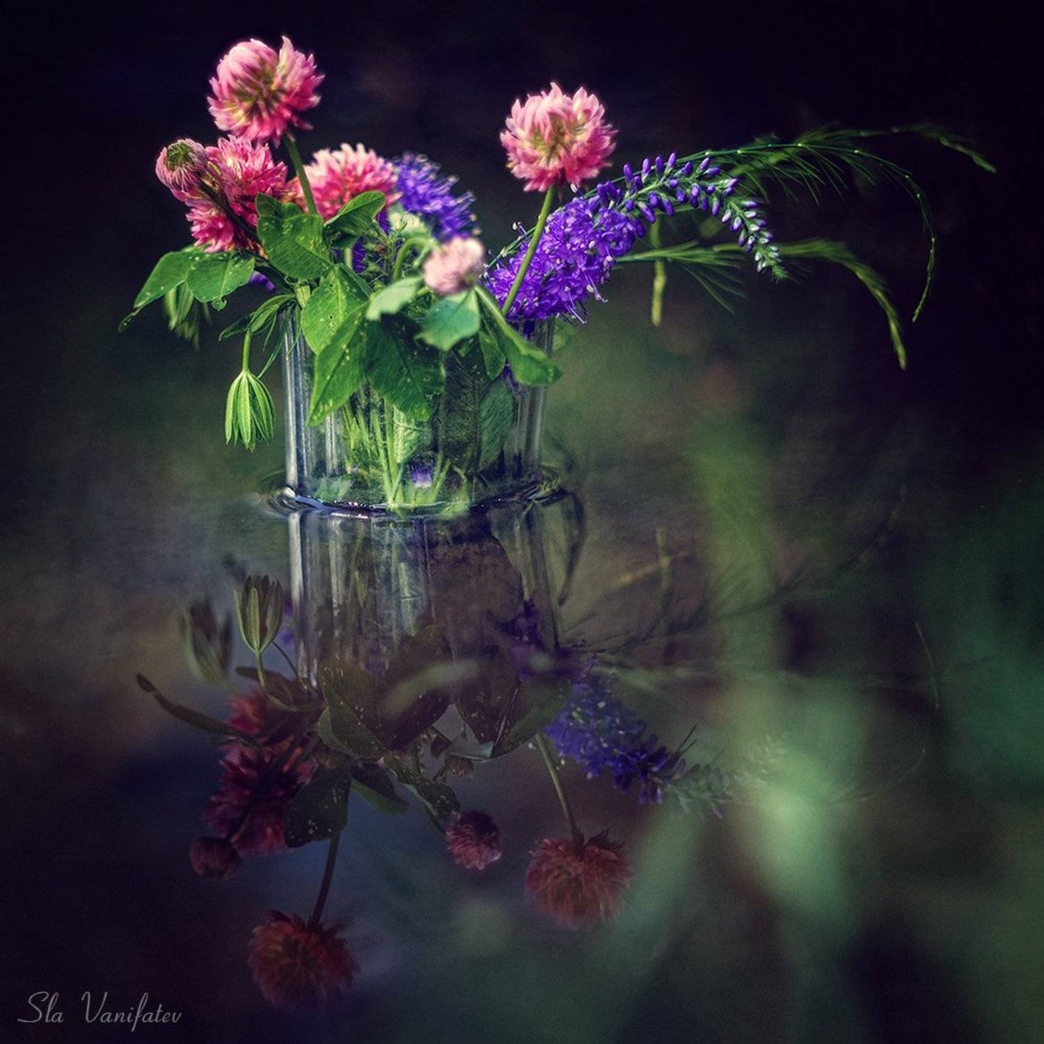 , Вячеслав Ванифатьев