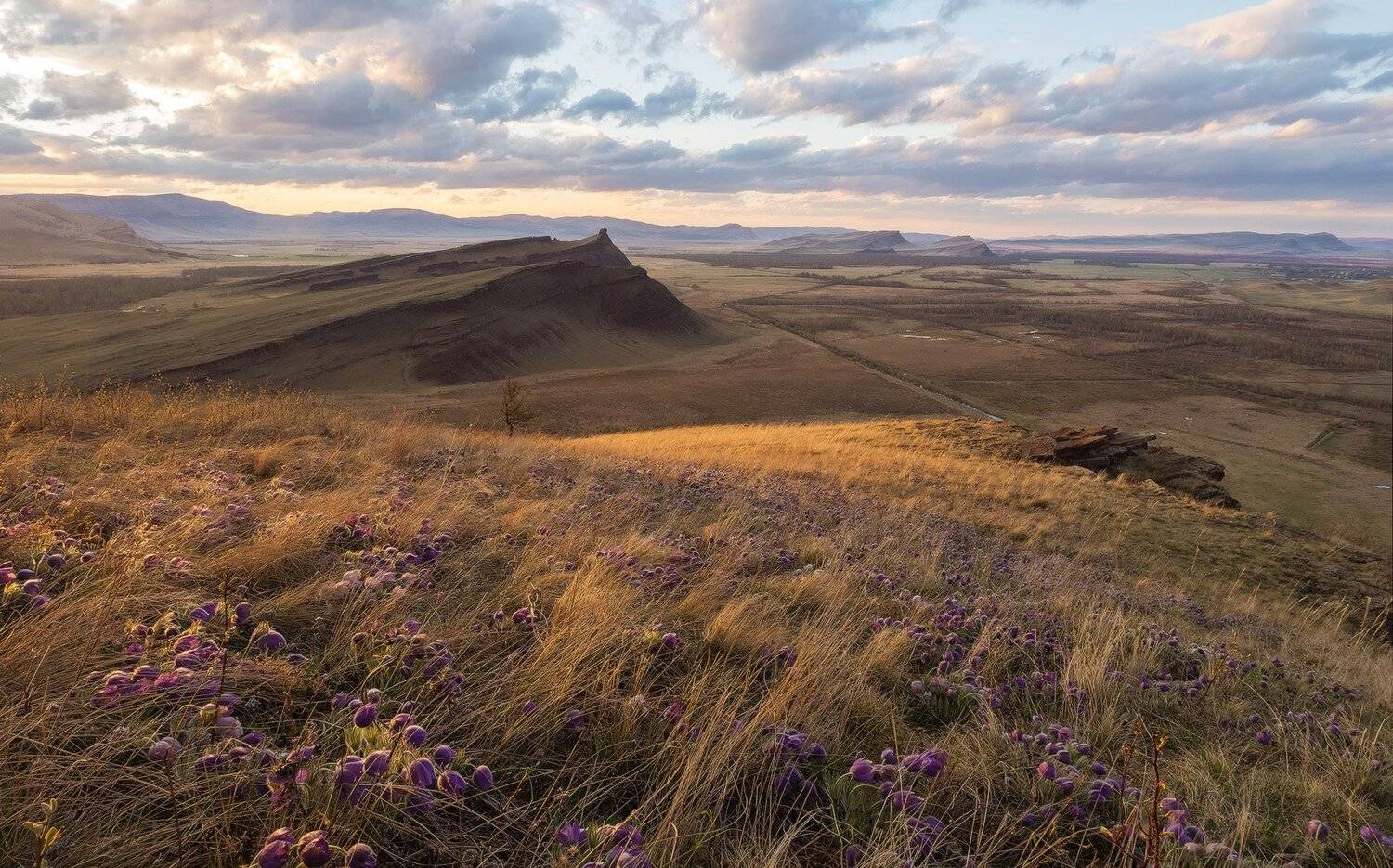 , Лещёнок Александр