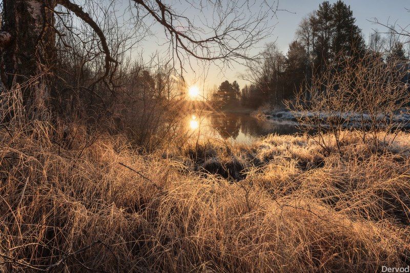 #dervod #drevo Архангельская область, рассвет на реке Ширшема. фото превью