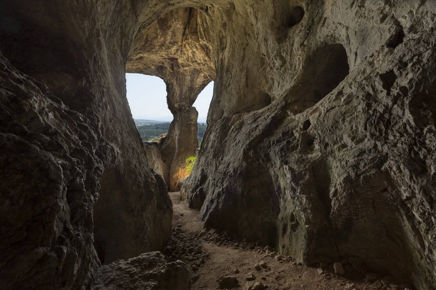 , Александър Сандев