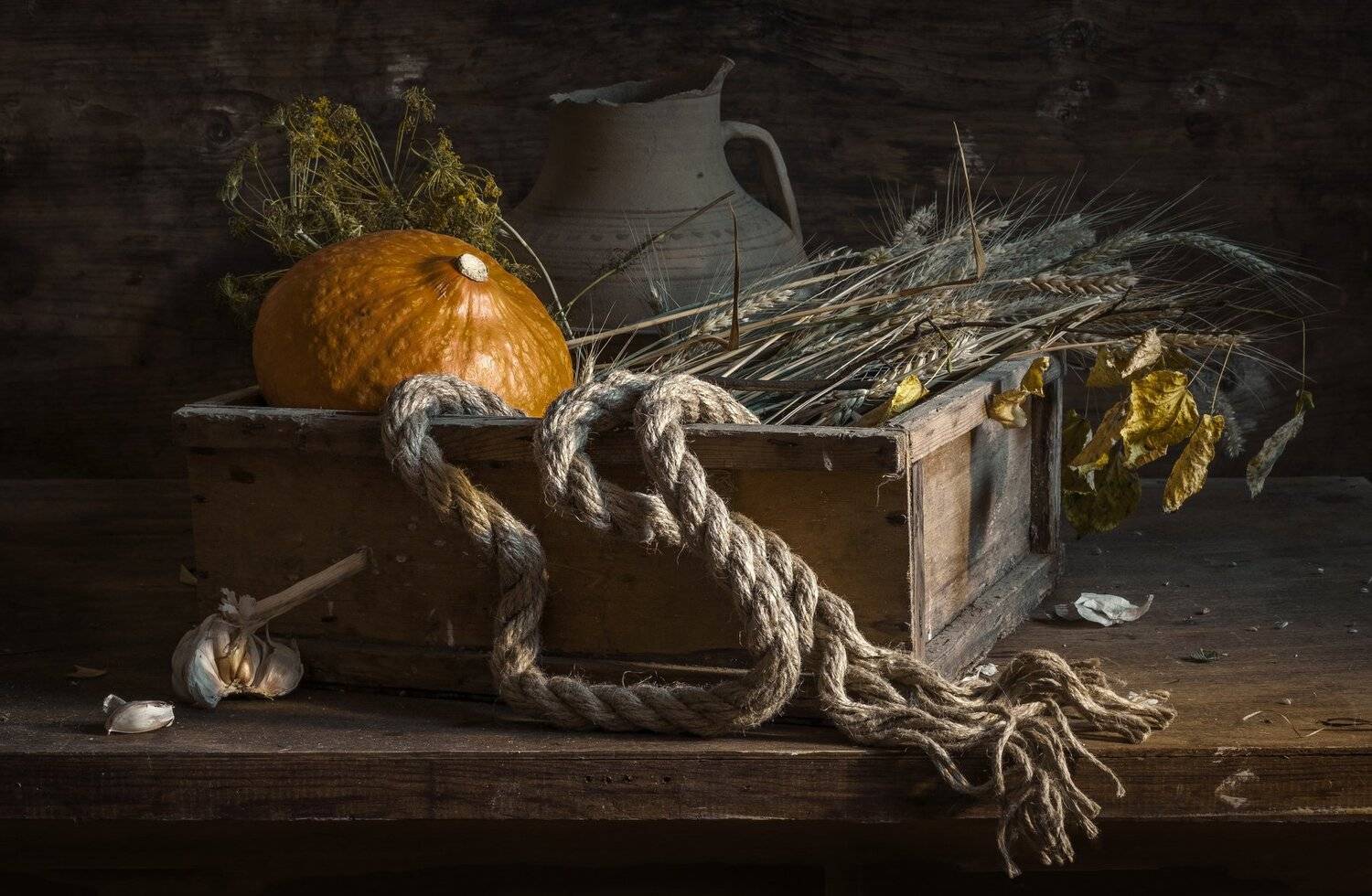 натюрморт, still life, тыква, веревка, Евгений Корниенко