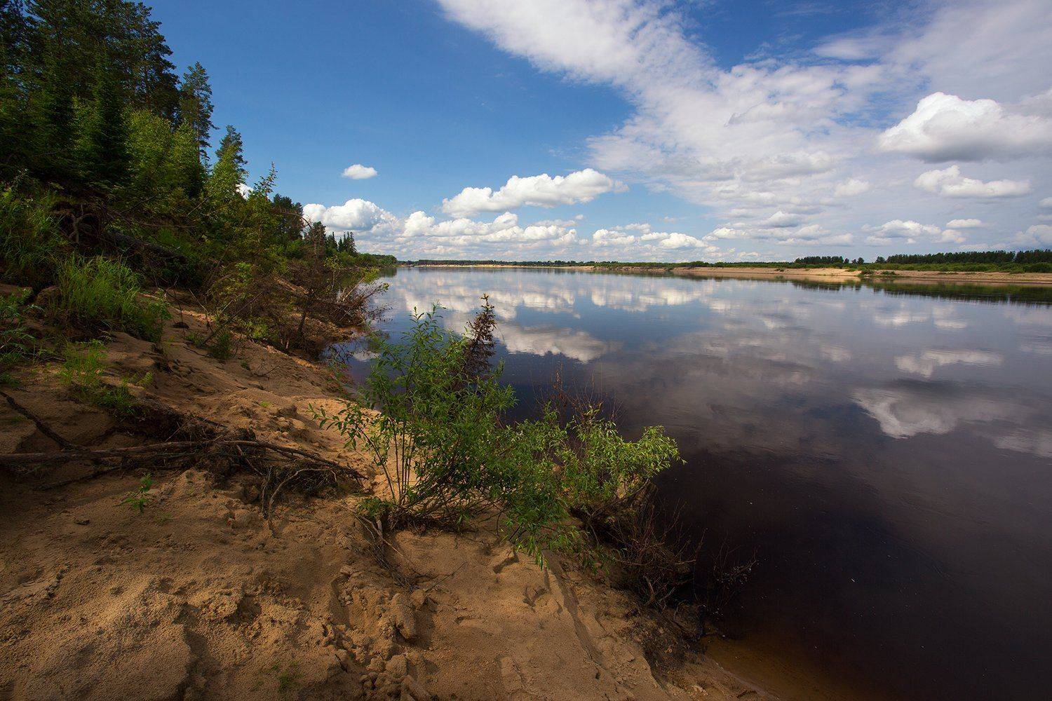 , Поташев Александр