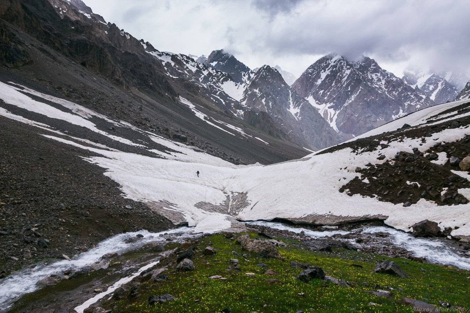 , Алексей Медведев