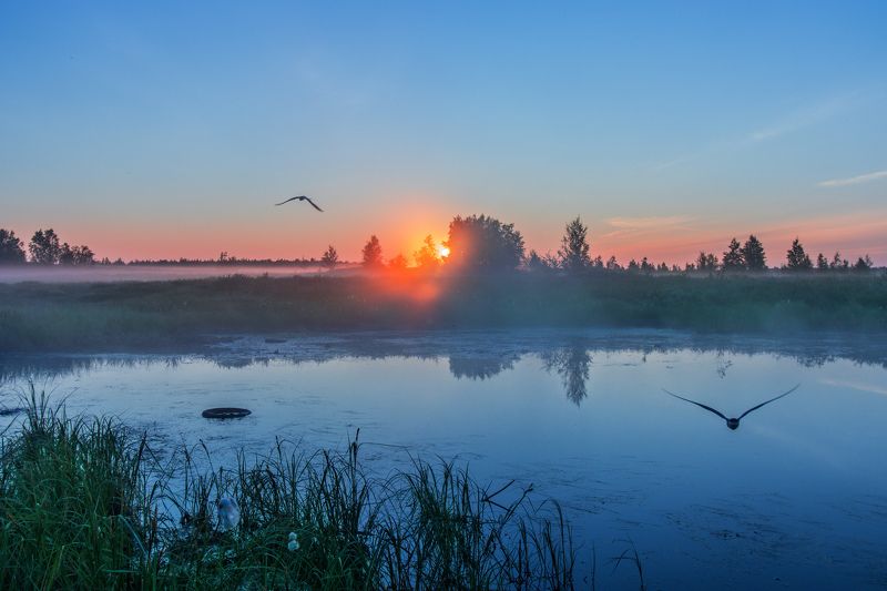 ямал , сибирь, природа, салехард , рассвет, ямал \