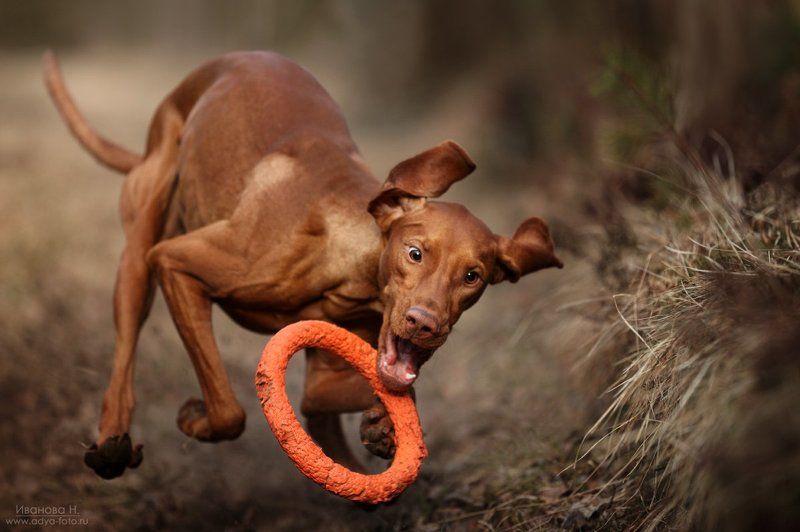 Когда что-то пошло не так) фото превью