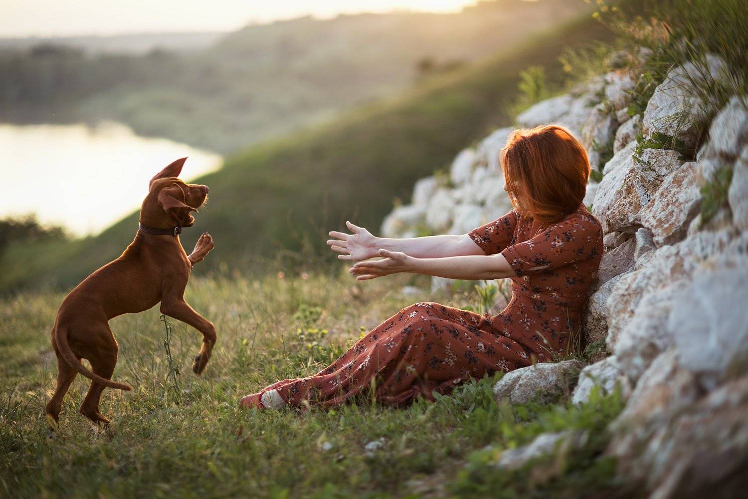 собака, друг, дружба, счастье, любовь, преданность, верность, Евгения Брусенцова