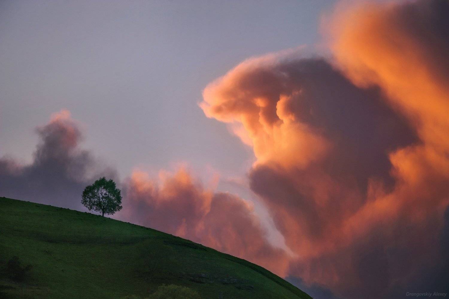 , Алексей Дранговский