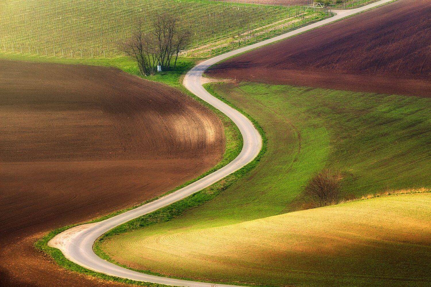 landscape,canon,moravia,light,spring, Iza,Darek