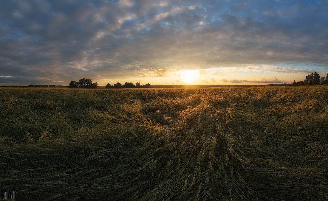 , Дмитрий Доронин