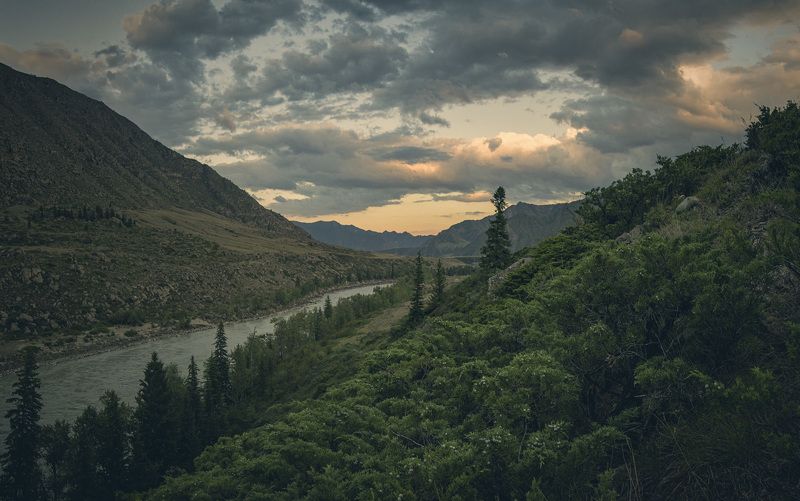 катунь, алтай, река, горы, долина, вечер, облака, долина, Вечерняя Катунь фото превью