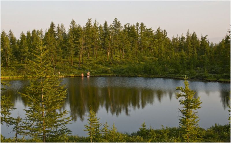 Таймыр,лето,солнце Летняя пора фото превью