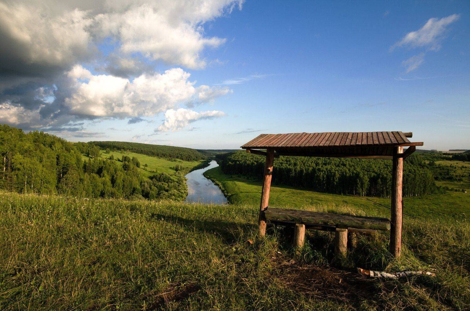 Природа,зелень,река,немда, Карепанов Евгений