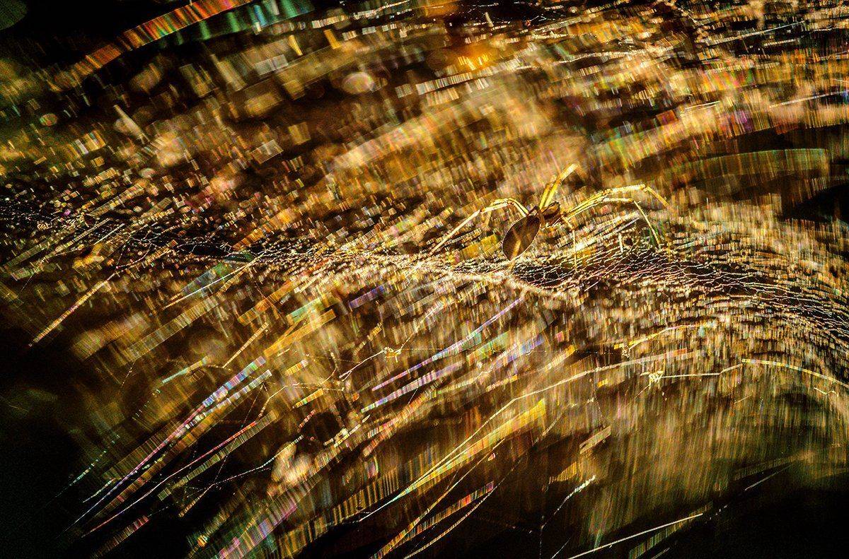 , Татьяна Аверина