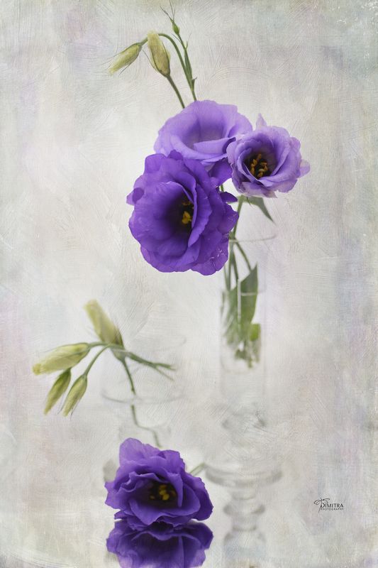 Летнее настроение фото превью