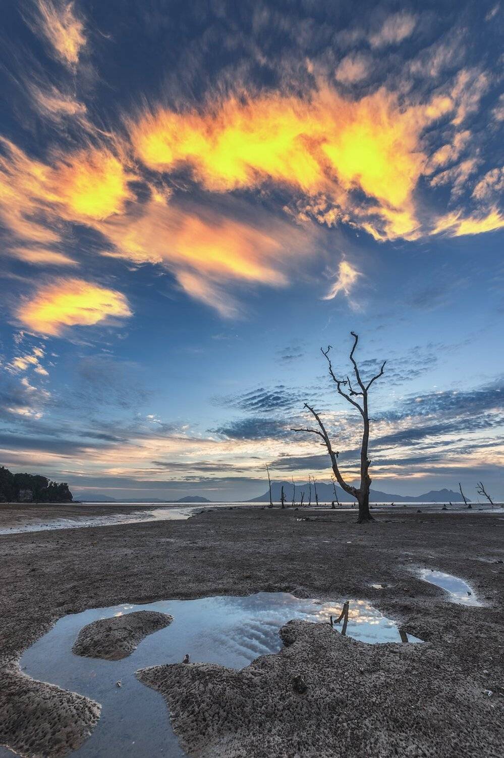 , Михаил Туркеев