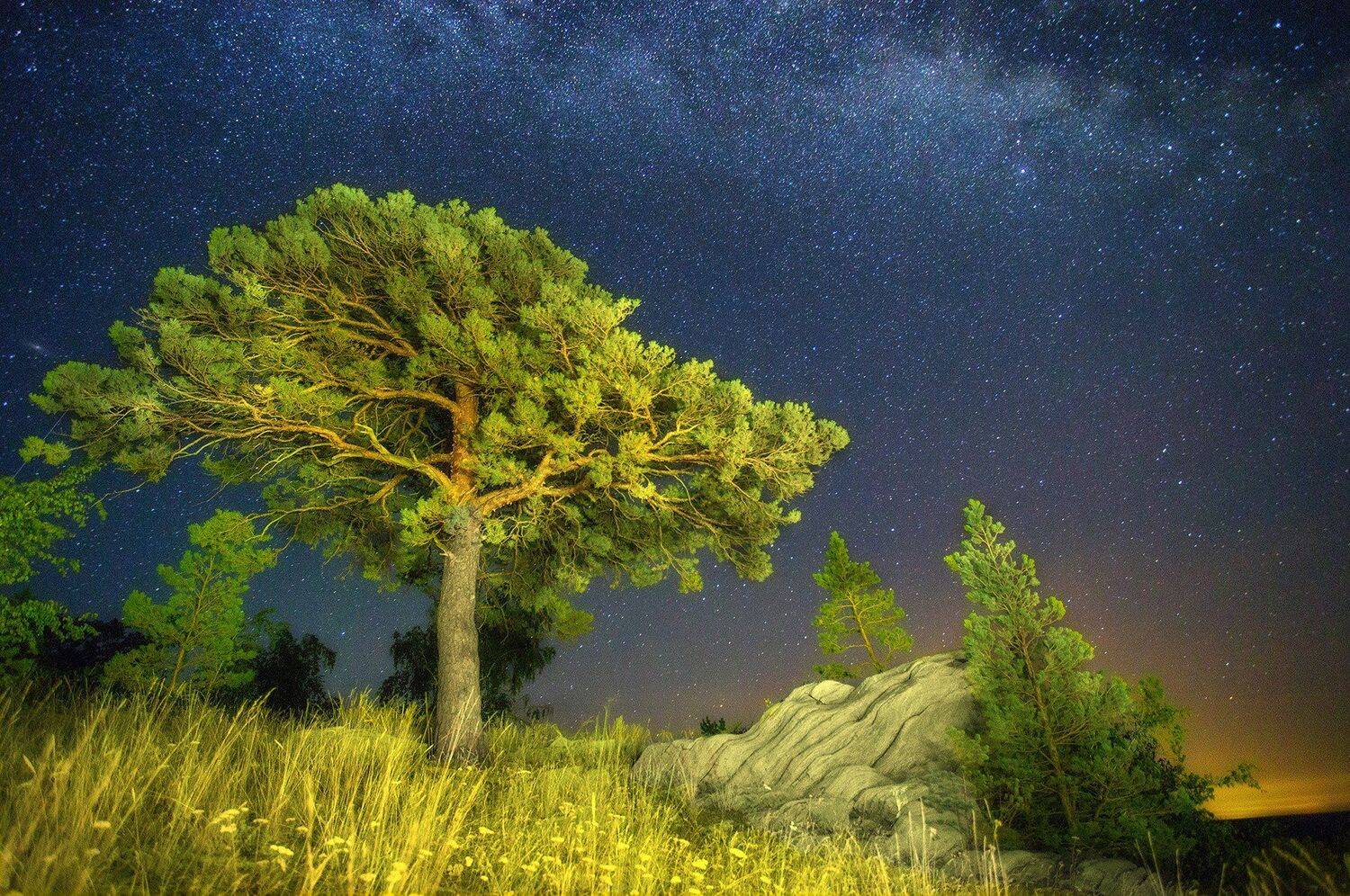 , Павел Сагайдак