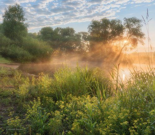 Утро в Заречье...