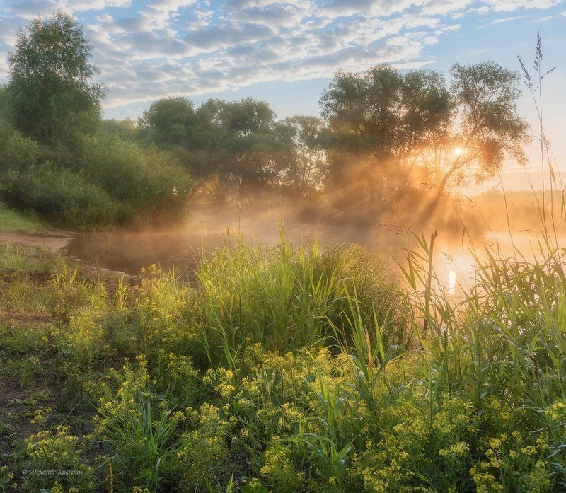пейзаж, рассвет, угра Утро в Заречье... фото превью