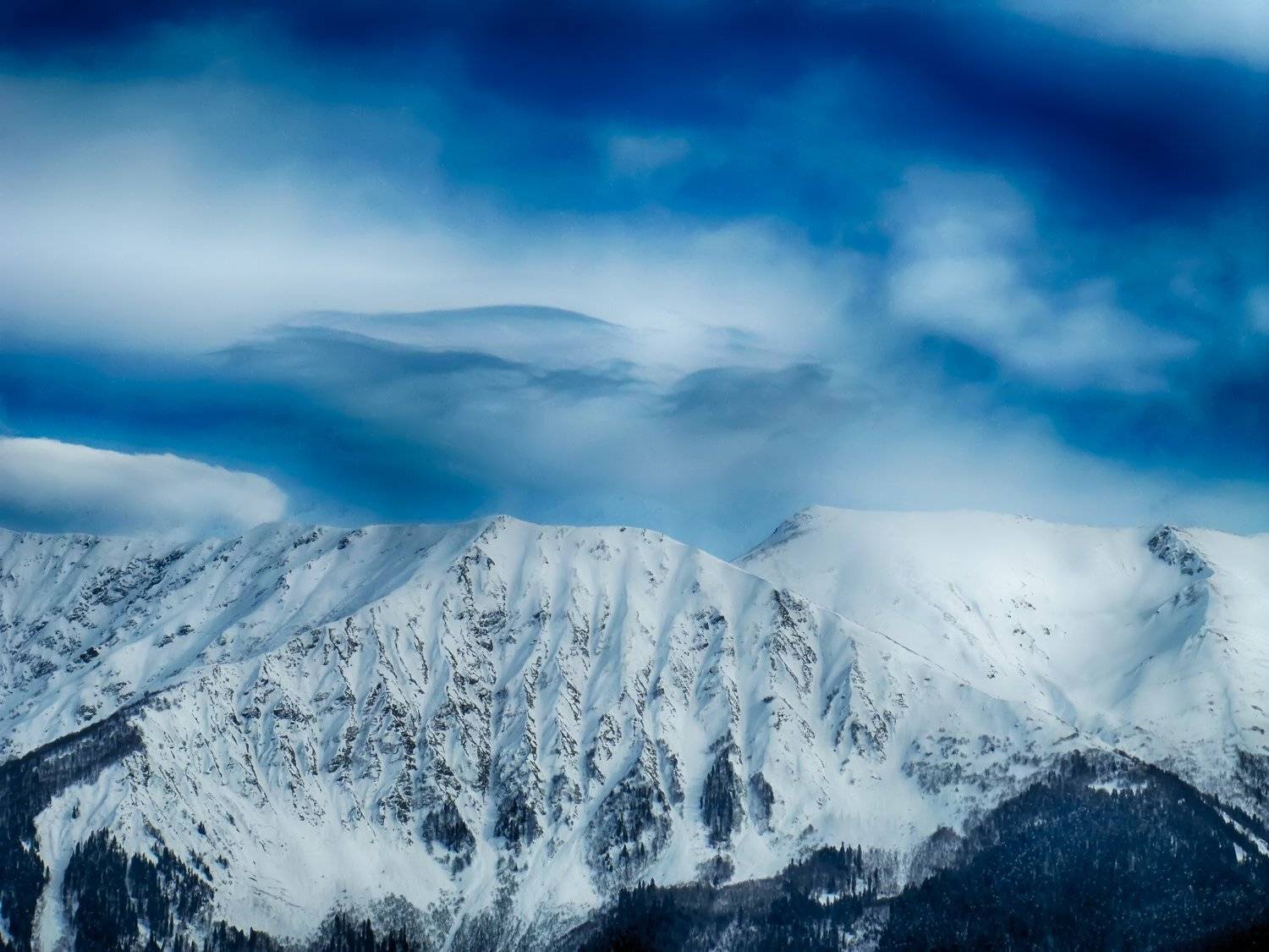 , Николай Шелепов