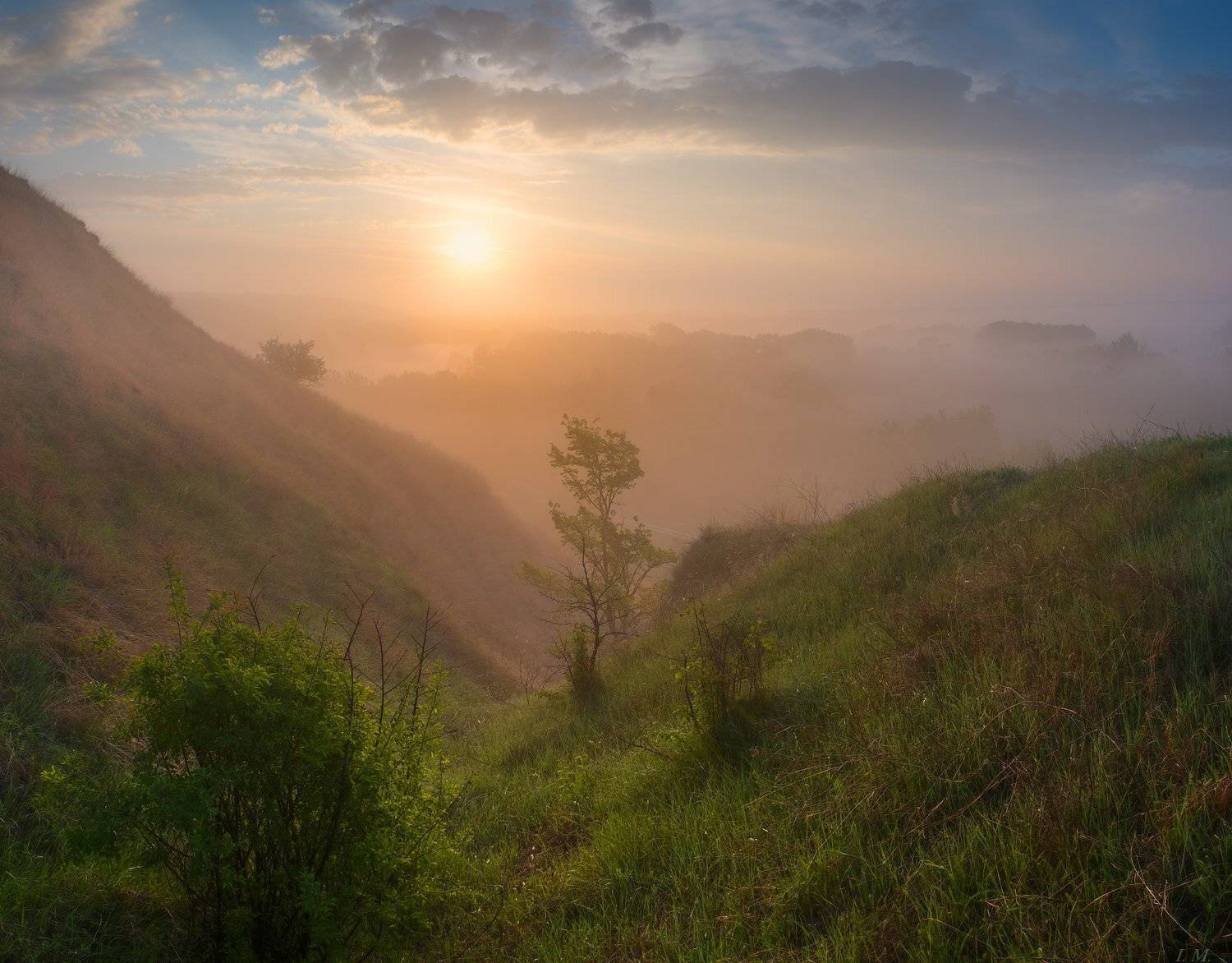 fog, morning, panorama, sun, sunrise, панорама, рассвет, свет, солнце, туман, Утро, Misty, I'M