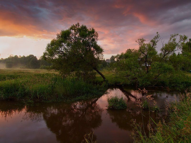 пейзаж рассвет утро небо Мгновенья рассвета текущего лета... фото превью