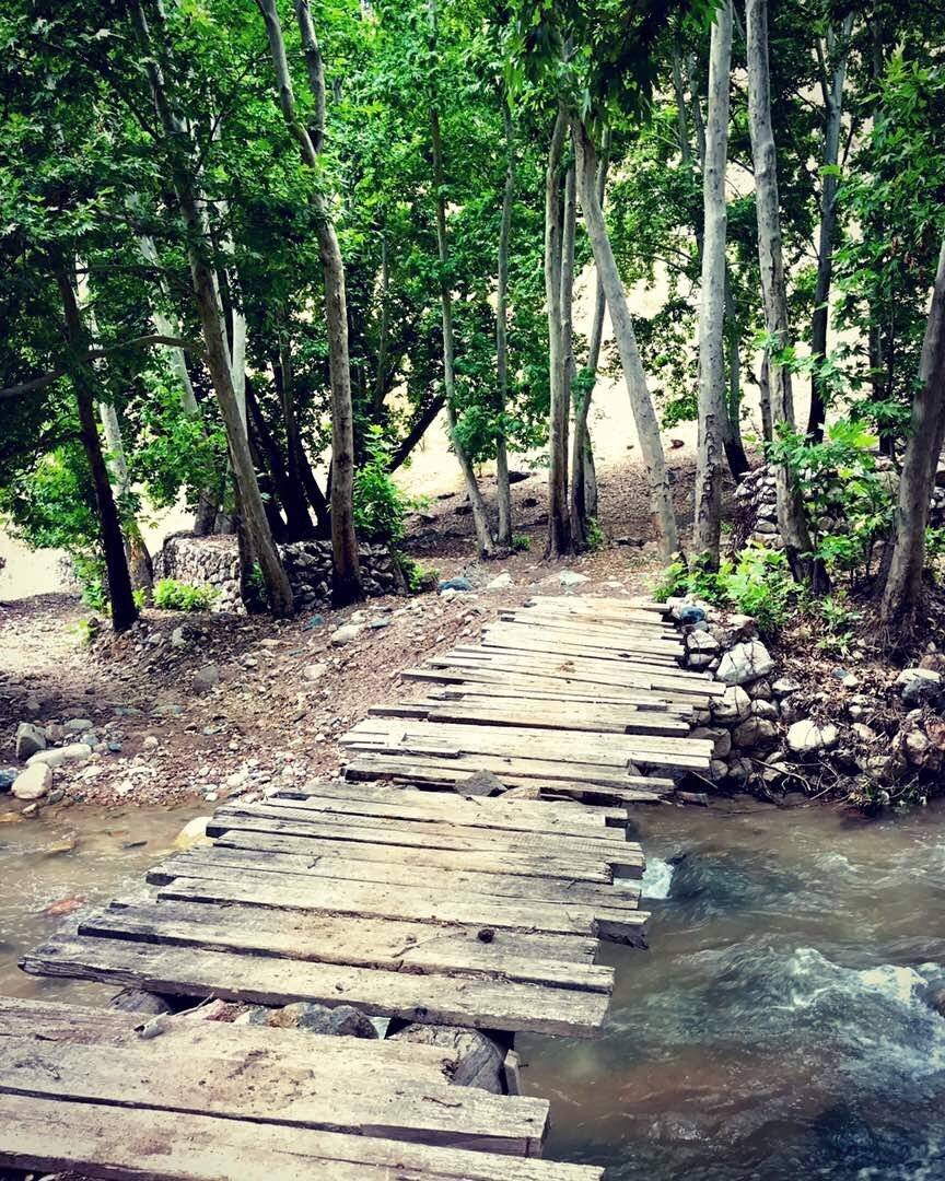 , Самадов Махди