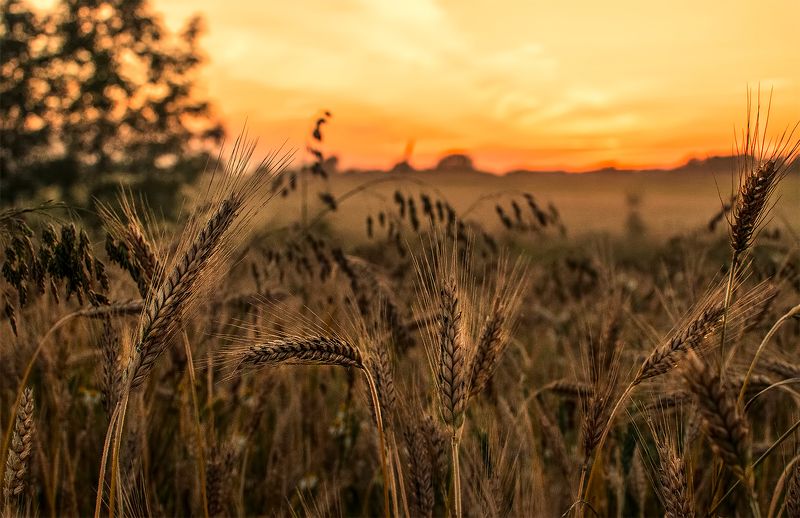 sunset Evening silence фото превью