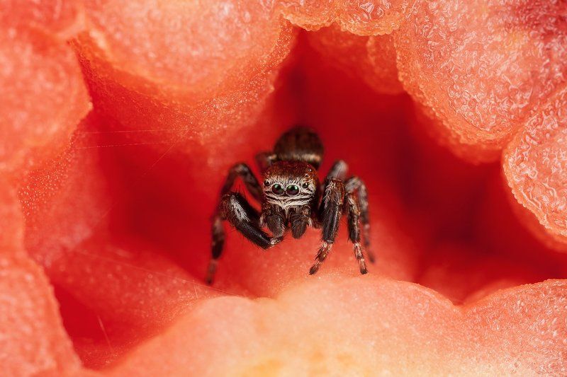 На сцене фото превью