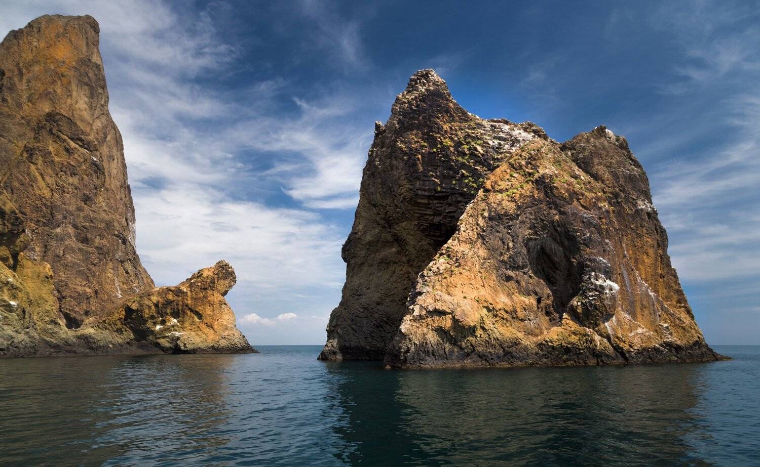морской лев, золотые ворота, Алексей Рыльский