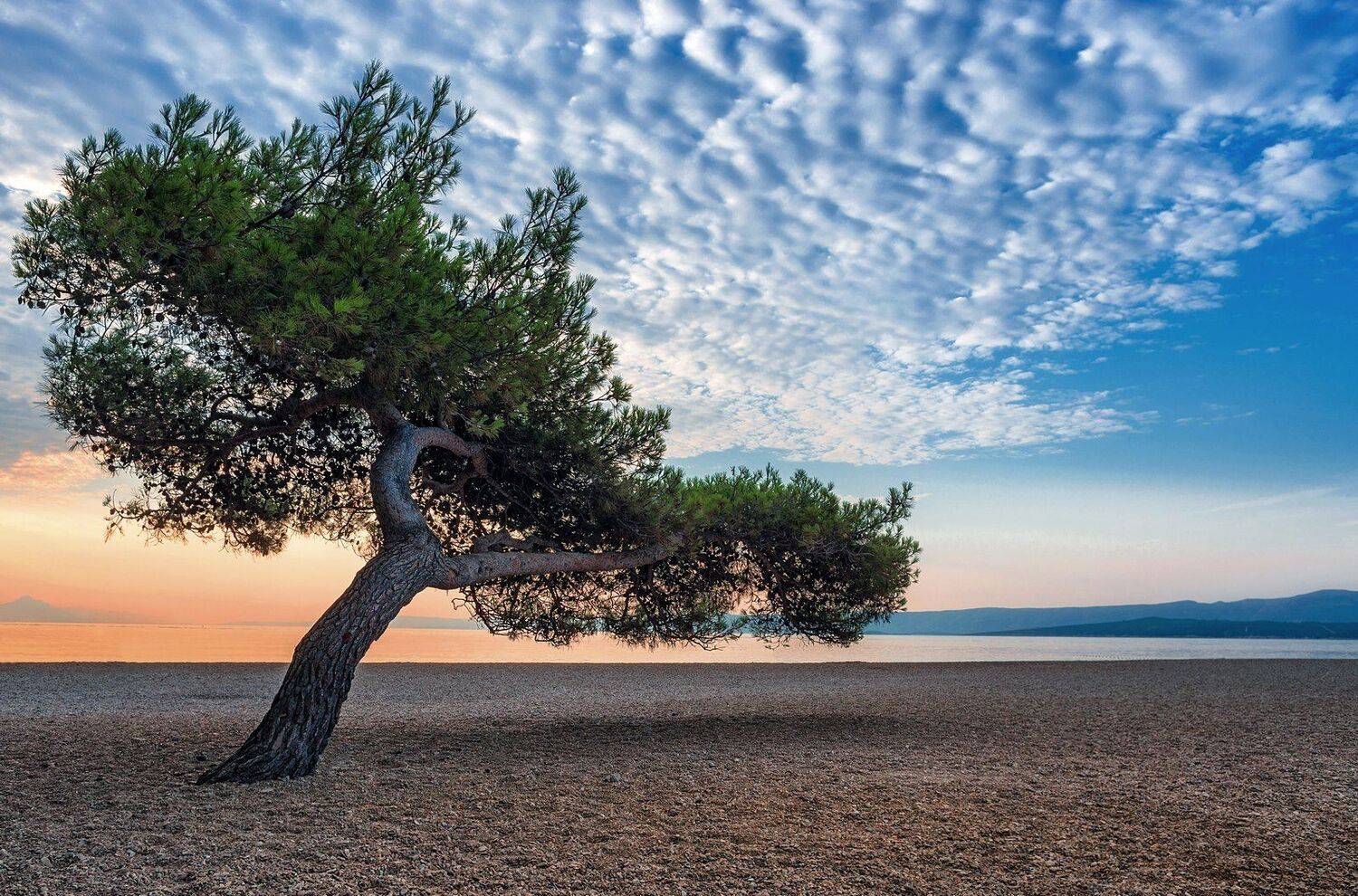 , Сергей Давыдов