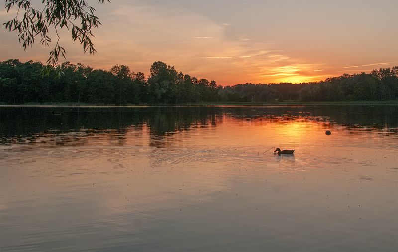 sunset,lake Sunset фото превью