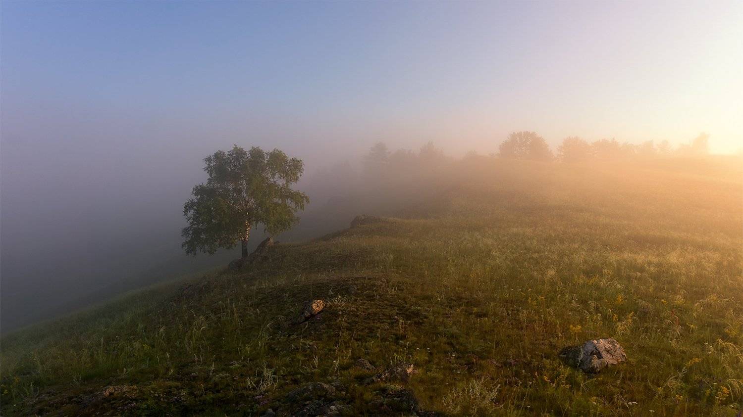, Леонид Максименко