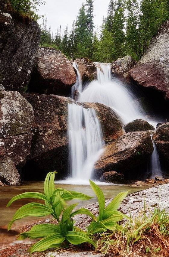 , Лена Стогова