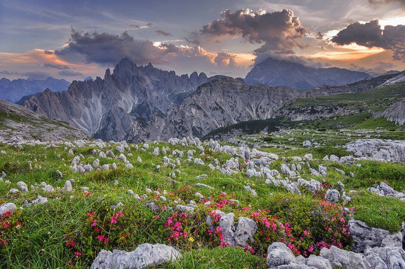 :) фото превью