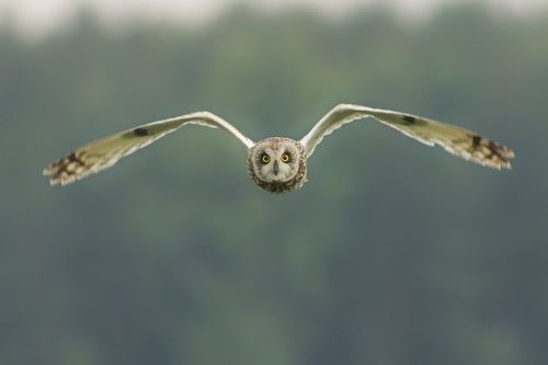 Последнее предупреждение