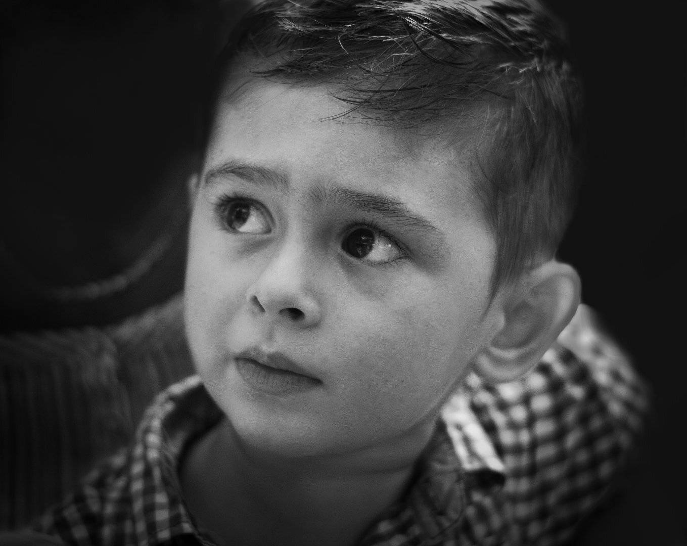 , Мартин Костадинов